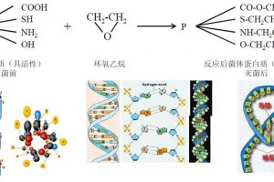 医疗产品环氧乙烷(EO)灭菌原理、应用、检测及控制事项